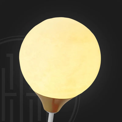 Flarehug Bear Wall Light