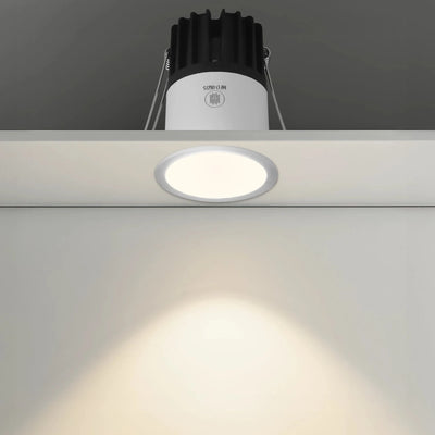 Lotus Downlight COB Light