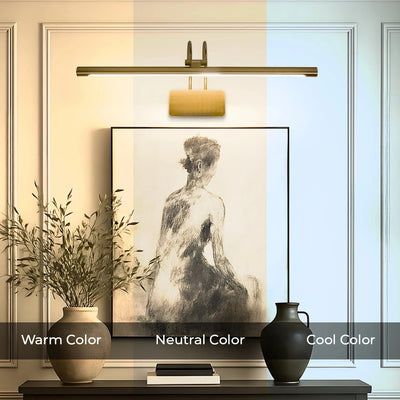 Modern Minimalistic Wall Mirror Light (Picture Light)