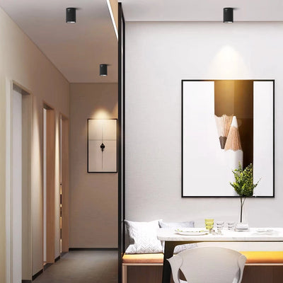 Cylindrical Surface Mounted Antiglare LED COB Spot Downlight
