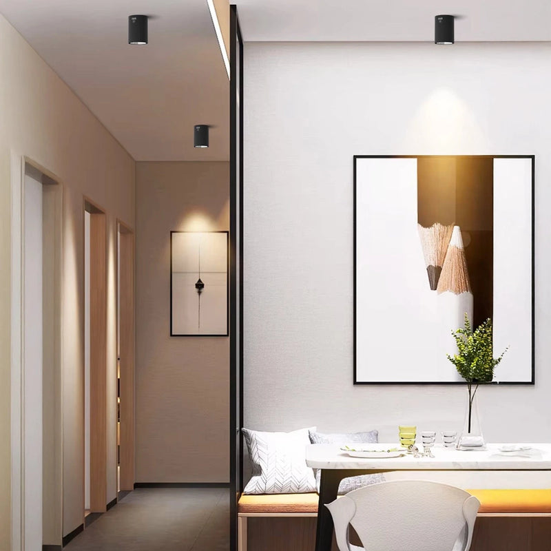 Cylindrical Surface Mounted Antiglare LED COB Spot Downlight