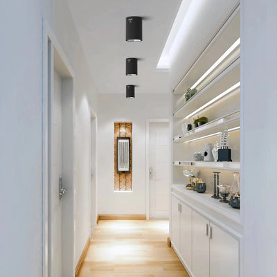 Cylindrical Surface Mounted Antiglare LED COB Spot Downlight