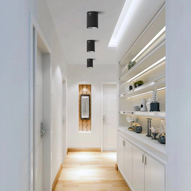 Cylindrical Surface Mounted Antiglare LED COB Spot Downlight
