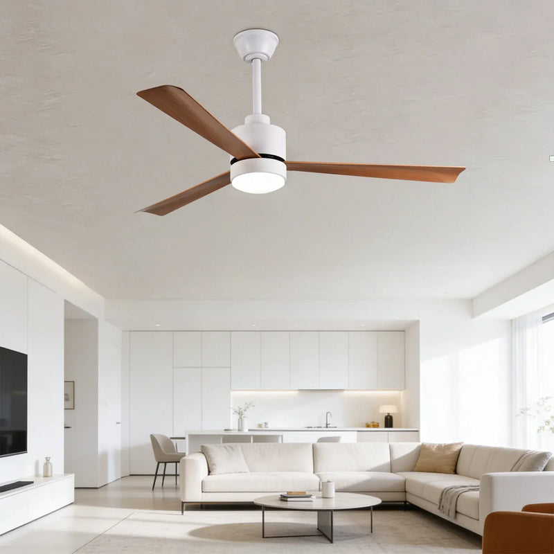 Apollo Ceiling Fan Buy 52 Inch BLDC Fan - Apollo 52 Ceiling Fan with Remote Control ...