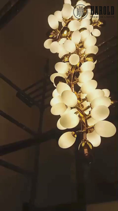 Uvae Albae Duplex Chandelier
