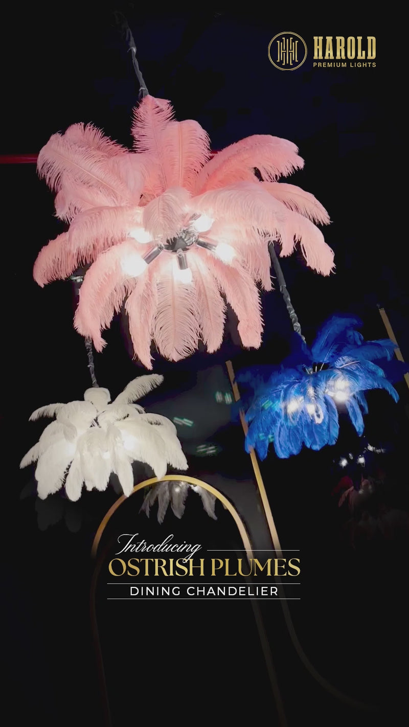 Ostrich Plumes Chandelier