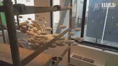 Egg Shell Chandelier