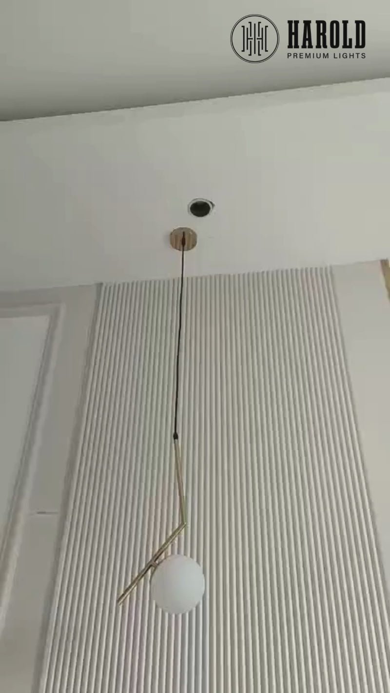 Minimalist Design Hanging Lamp Light