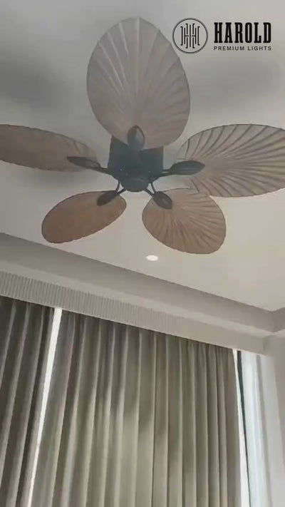 Woodcraft Breeze Ceiling Fan