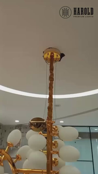 Uvae Albae Duplex Chandelier