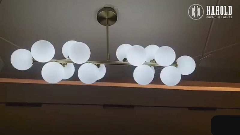 Bellus Catuli Modern Dining Chandelier