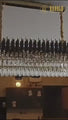 Black Mamba Oval Chandelier