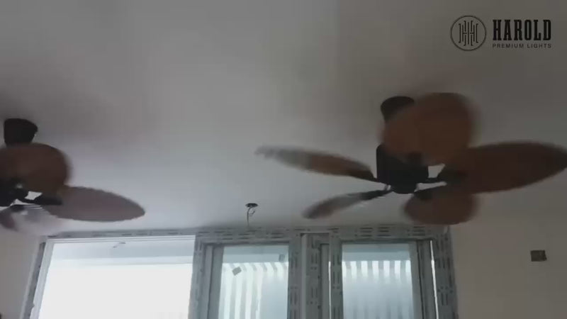 Woodcraft Breeze Ceiling Fan