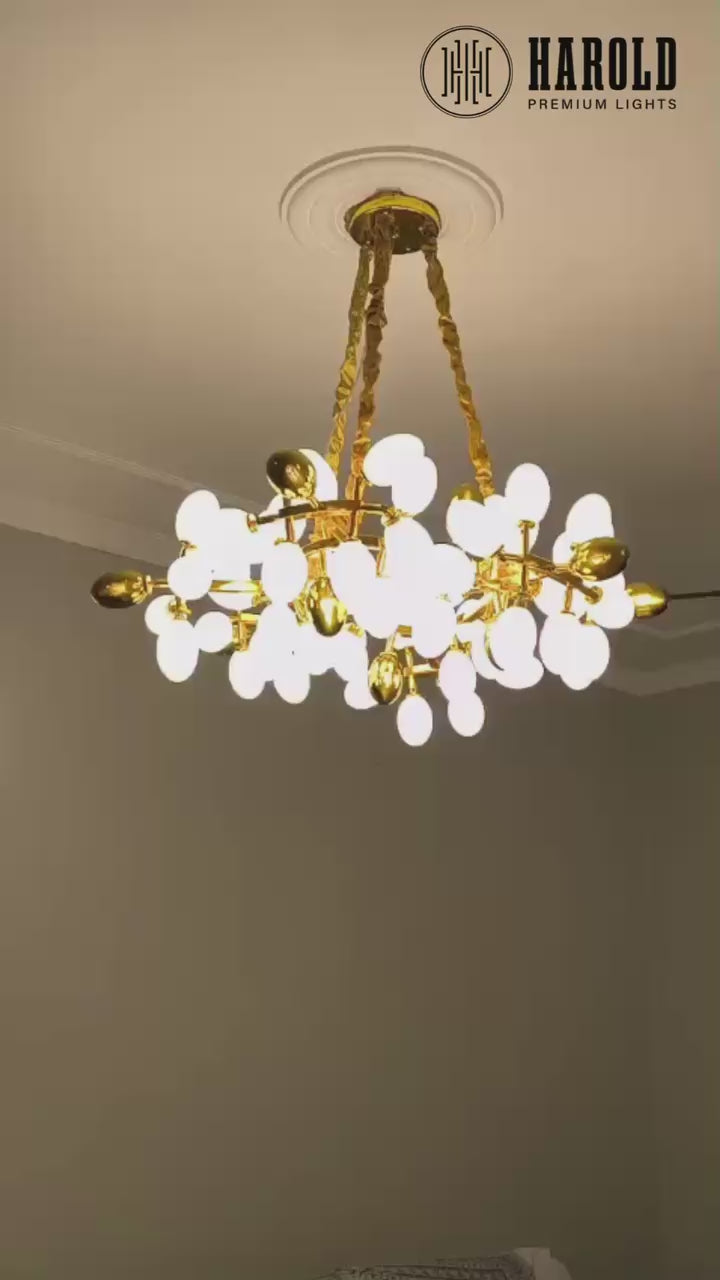 Uvae Albae Round Chandelier