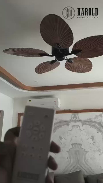Woodcraft Breeze Ceiling Fan