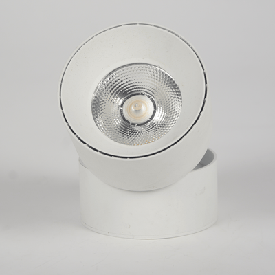 360° Adjustable Surface COB Spotlight