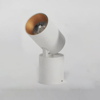 Cylindrical 360° Adjustable Surface COB Spotlight (13 Watt)